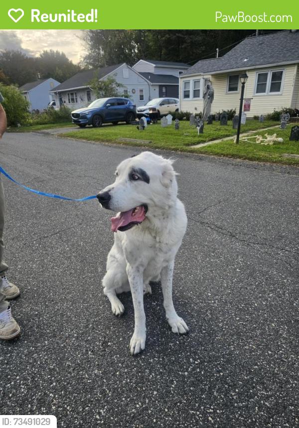 Reunited Male Dog last seen Street road and 13, Bensalem Township, PA 19020