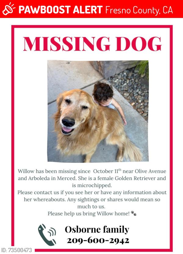 Lost Female Dog last seen E. Olive Ave, Fresno County, CA 93727
