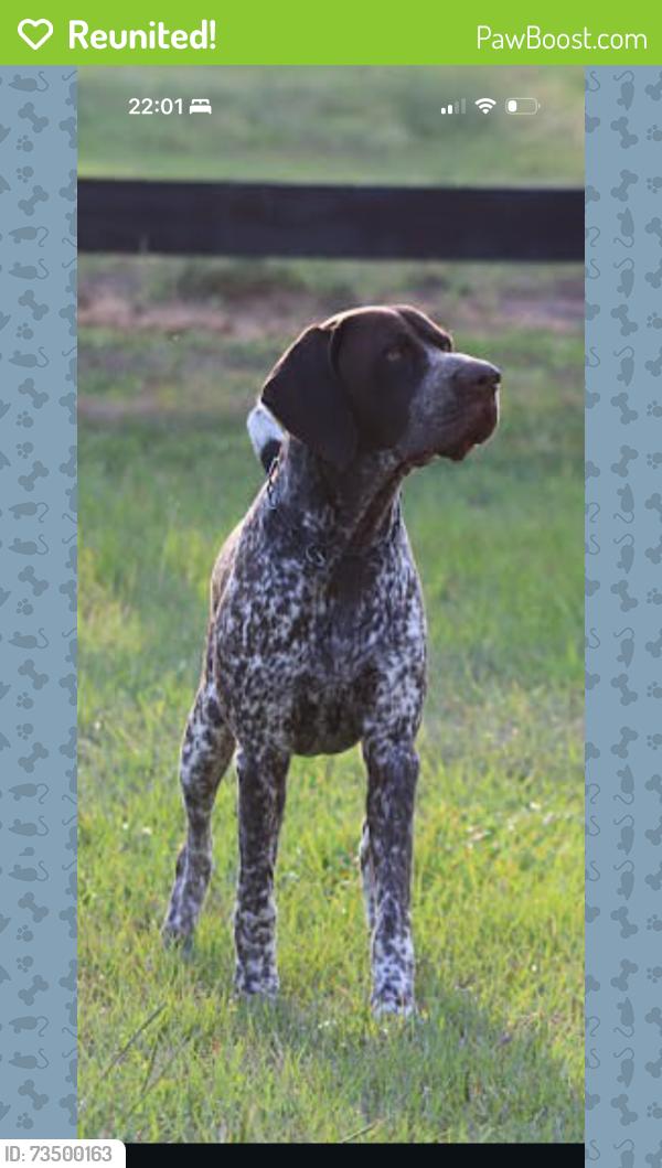 Reunited Male Dog last seen Last seen at South Choctaw Rd between SE 104th Street and SE 119th Street, Oklahoma City, OK 74857