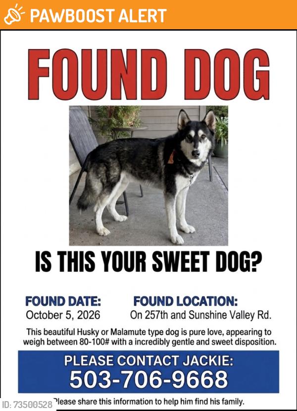 Found/Stray Male Dog last seen 242nd, Clackamas County, OR 97089