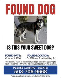 Found/Stray Male Dog last seen 242nd, Clackamas County, OR 97089