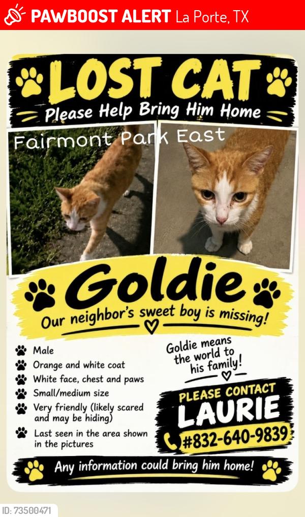 Lost Male Cat last seen Youpon Drive in Fairmont Park East, La Porte, TX 77571