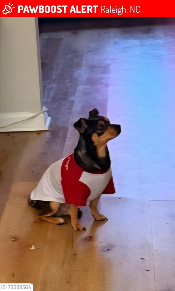 Lost Male Dog last seen Near Sunnybrok Rd Raleigh NC 27610 united state, Raleigh, NC 27610