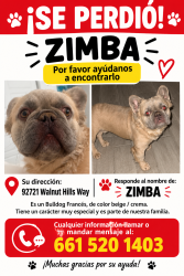 Lost Male Dog last seen Shafter, Shafter, CA 93263