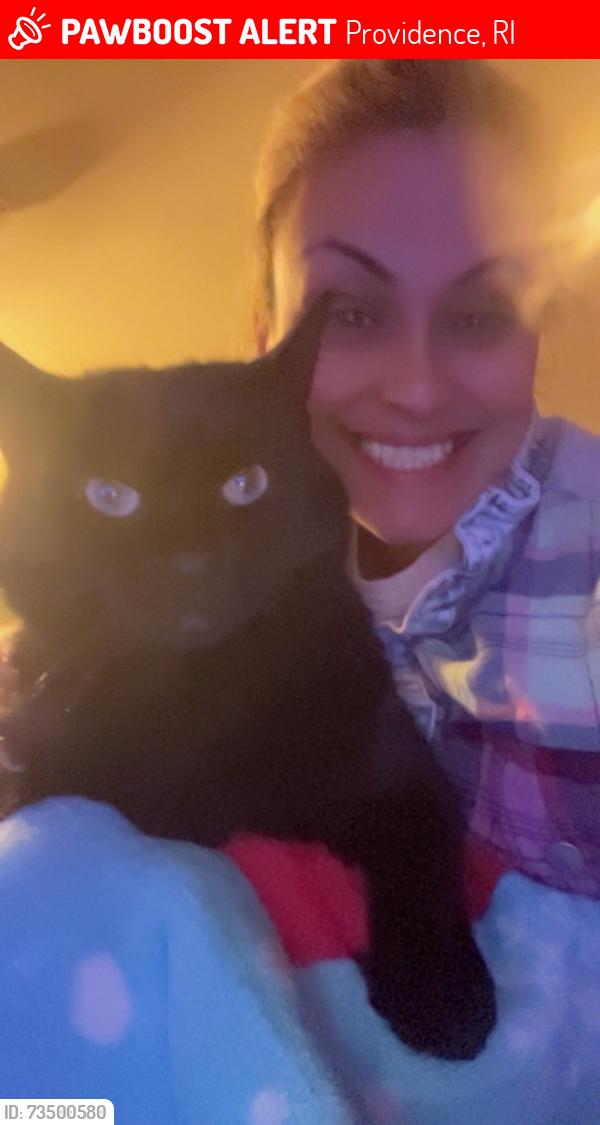 Lost Female Cat last seen Next to William debate elementary school, Providence, RI 02909