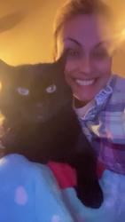 Lost Female Cat last seen Next to William debate elementary school, Providence, RI 02909