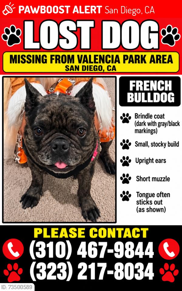 Lost Female Dog last seen Skyline Drive, San Diego, CA 92114