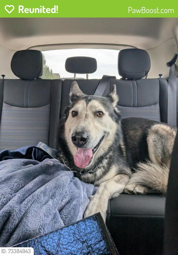 Reunited Male Dog last seen 25th Ave and Iola St, Aurora, CO 80010