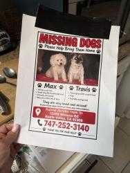 Lost Male Dog last seen Near Winona Rd, Apple Valley, CA 92308