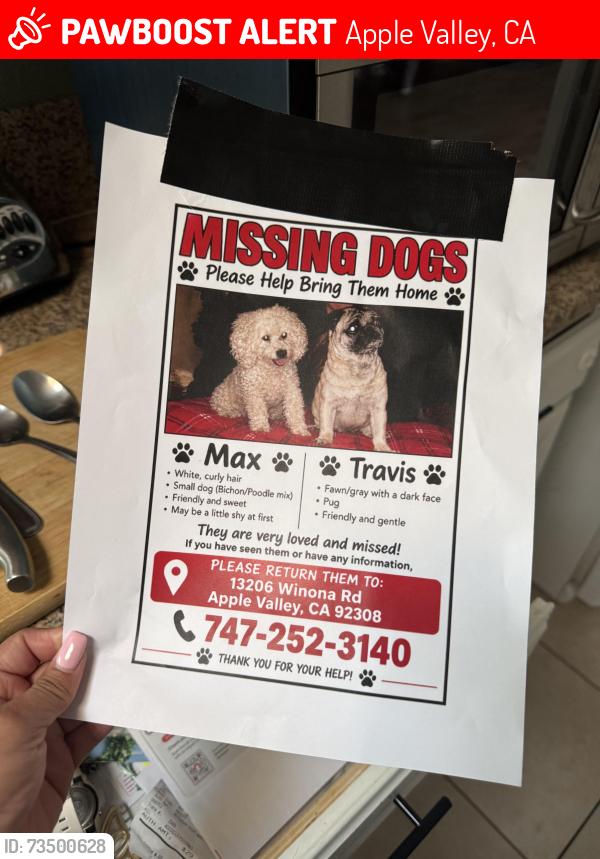 Lost Male Dog last seen Near Winona Rd, Apple Valley, CA 92308
