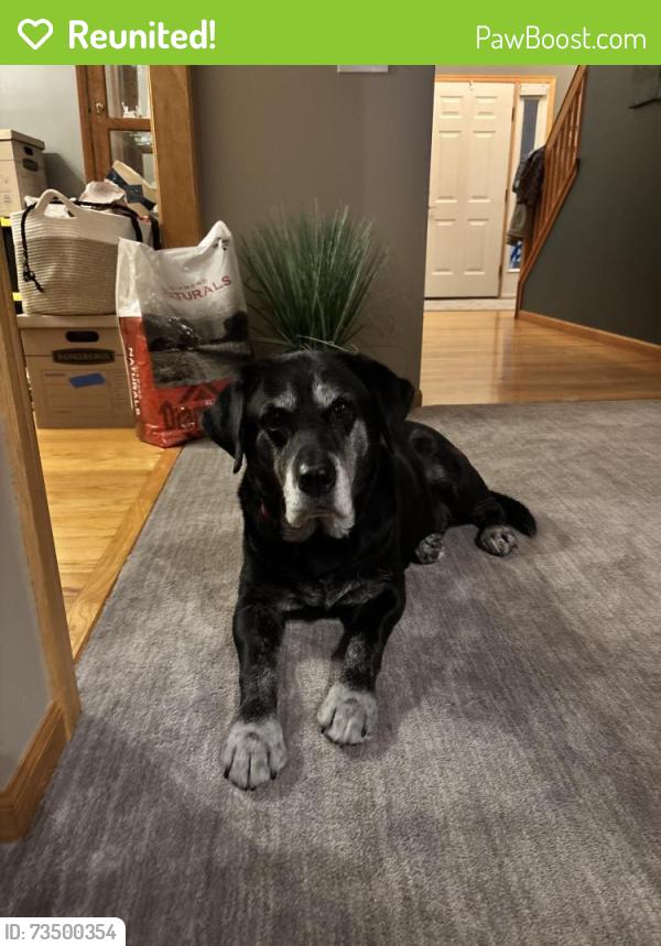 Reunited Male Dog last seen Near 39th Ave Plymouth MN 55441, Minneapolis, MN 55441