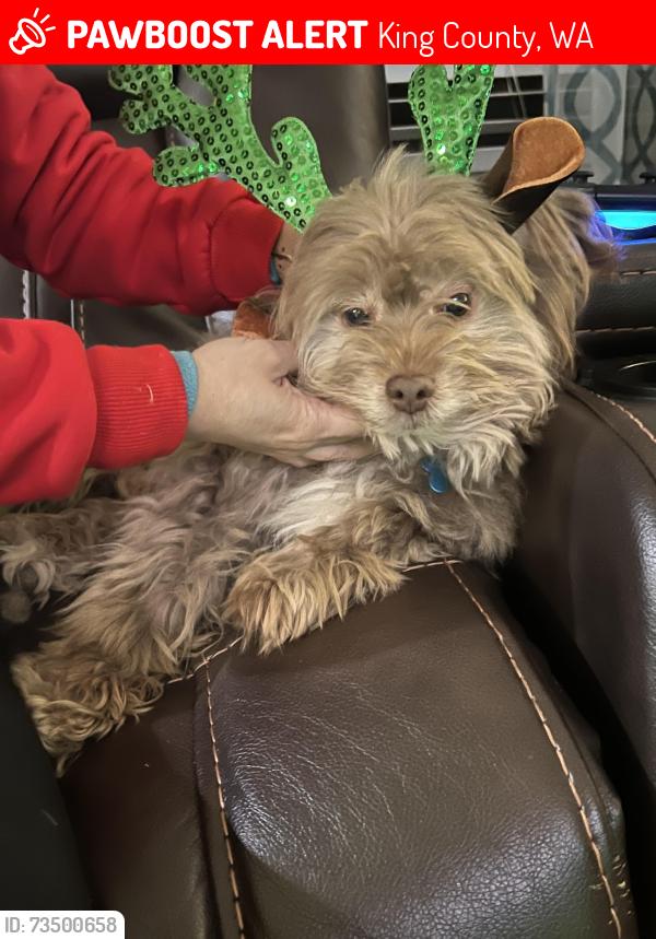 Lost Male Dog last seen Se 273rd st, King County, WA 98006