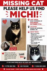 Reunited Male Cat last seen Near 60av surrey, Surrey, BC V3S 1R4