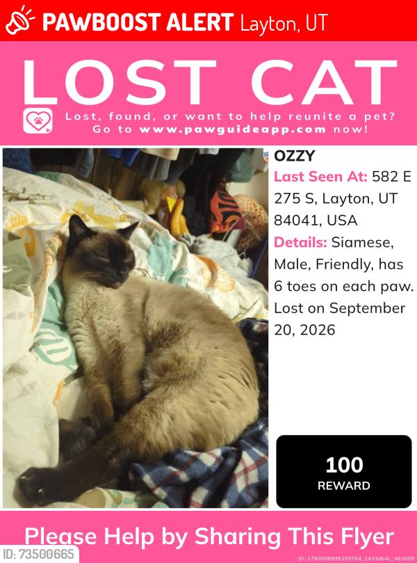 Lost Male Cat last seen Twin Trees lane by windco, Layton, UT 84041
