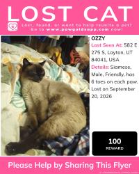 Lost Male Cat last seen Twin Trees lane by windco, Layton, UT 84041