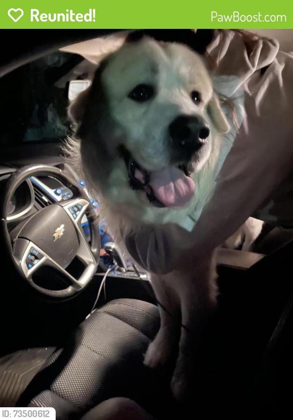 Reunited Unknown Dog last seen 131st between Halsey and glisan, Portland, OR 97230