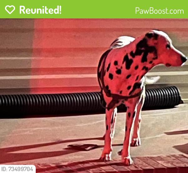 Reunited Unknown Dog last seen Kenion Street, Greensboro, NC 27405