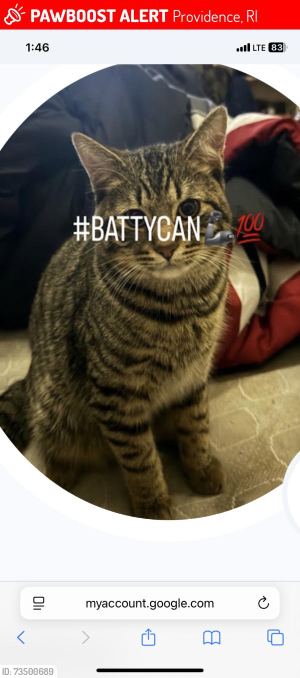Lost Male Cat last seen Baker st, Providence, RI 02905