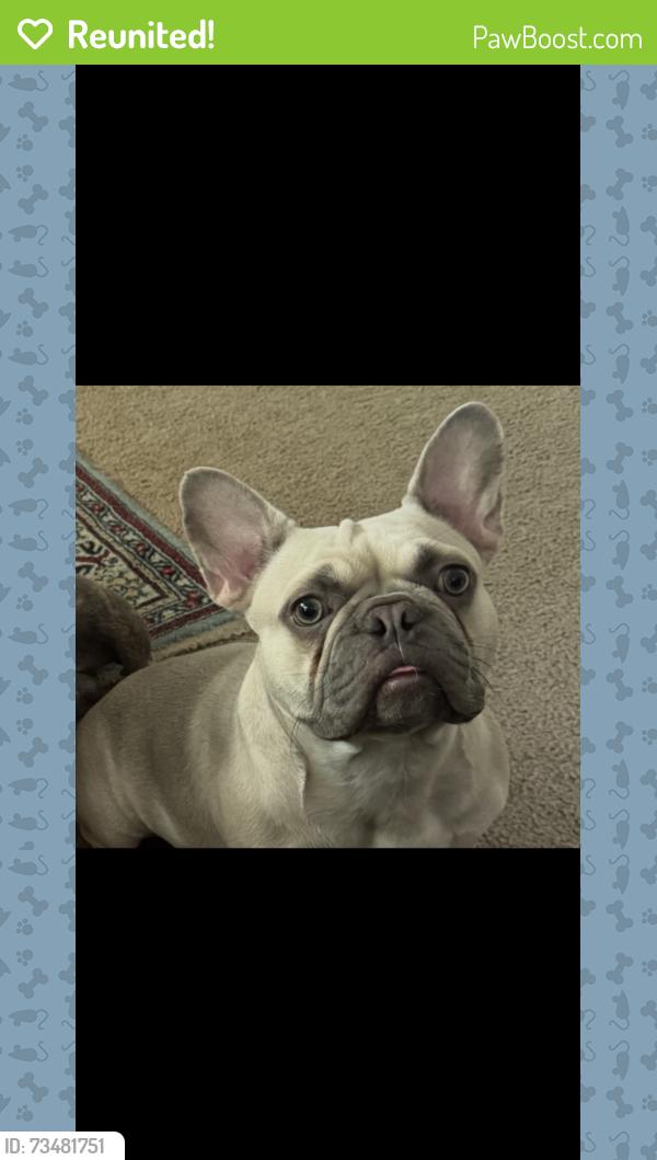 Reunited Female Dog last seen Symphony lane, Hughson, CA 95326