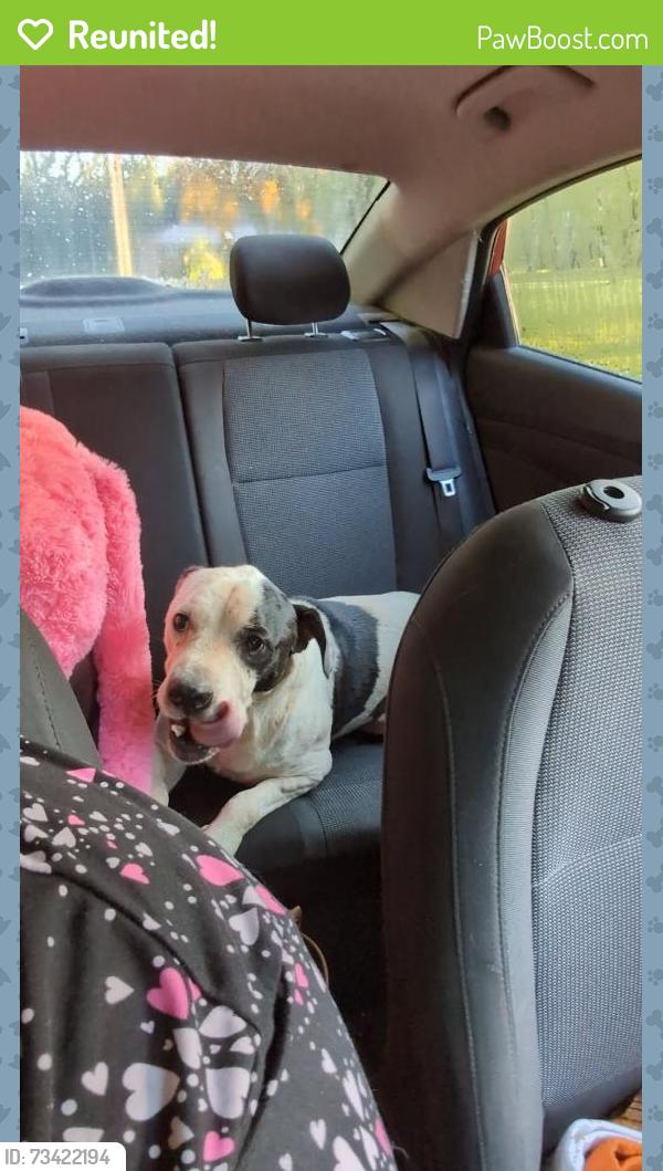 Reunited Male Dog last seen Near flt Rock Elementary, Mount Airy, NC 27030