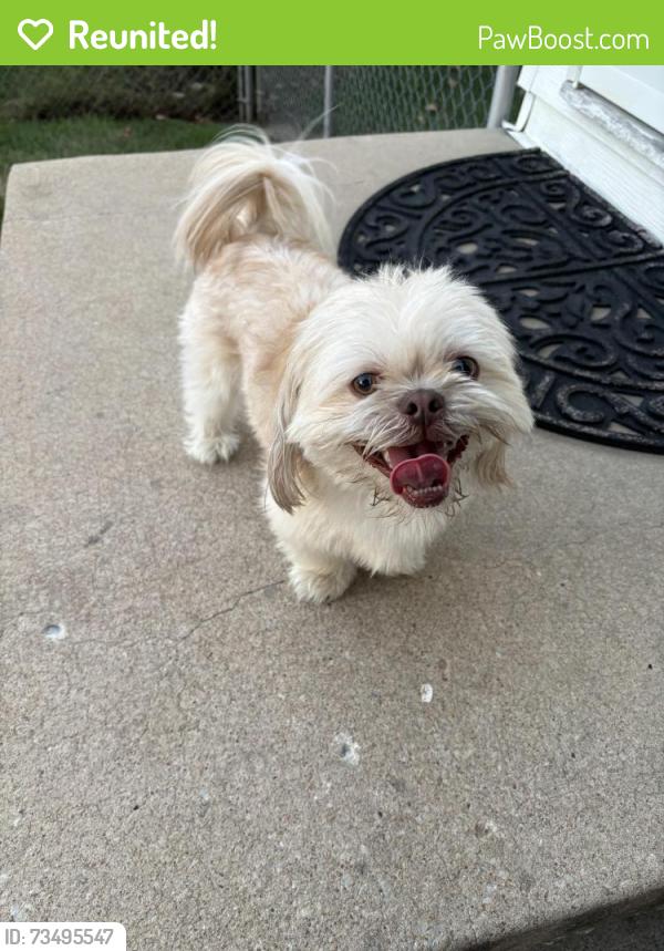 Reunited Male Dog last seen 35th and Trail Ridge Dr, Independence, MO 64055