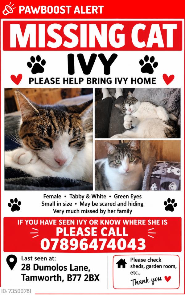 Lost Female Cat last seen Peelers way, Glascote, England B77 2BX