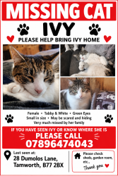 Lost Female Cat last seen Peelers way, Glascote, England B77 2BX
