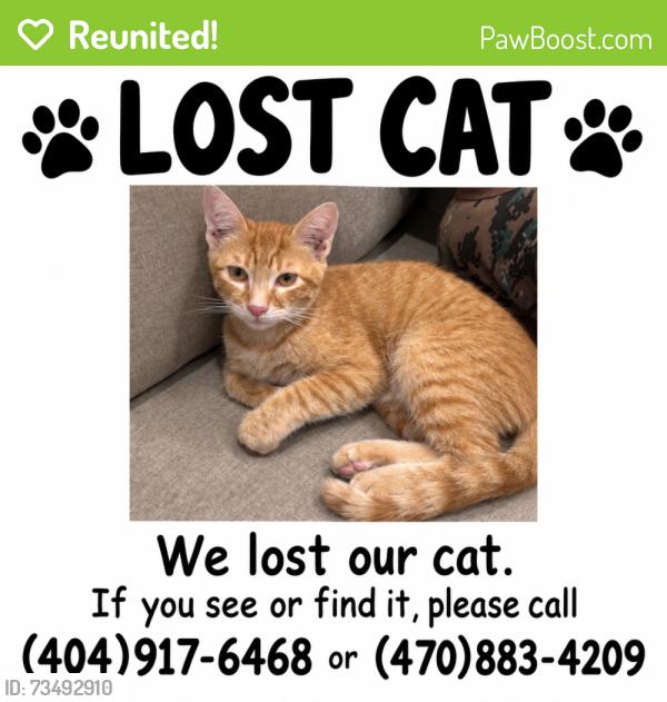 Reunited Male Cat last seen Victory, Los Angeles, CA 91606