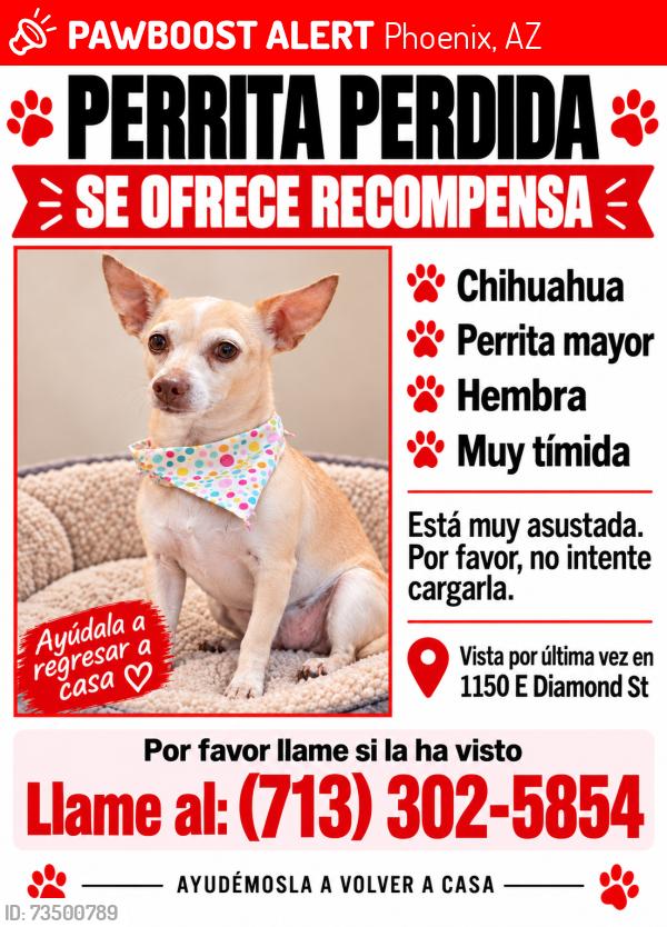 Lost Female Dog last seen Near st / McDowell, Phoenix, AZ 85006