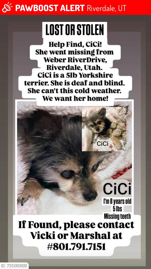 Lost Female Dog last seen Riverdale Rd/ 4400 South, Riverdale, UT 84405