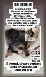 Lost Female Dog last seen Riverdale Rd/ 4400 South, Riverdale, UT 84405