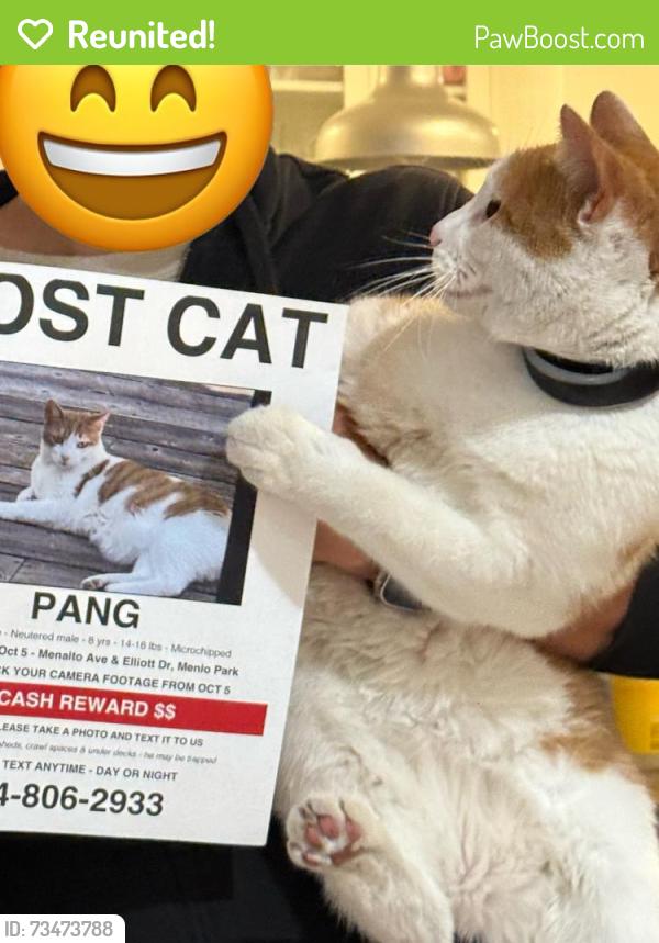 Reunited Male Cat last seen Near Menalto Ave, Menlo Park, CA 94025