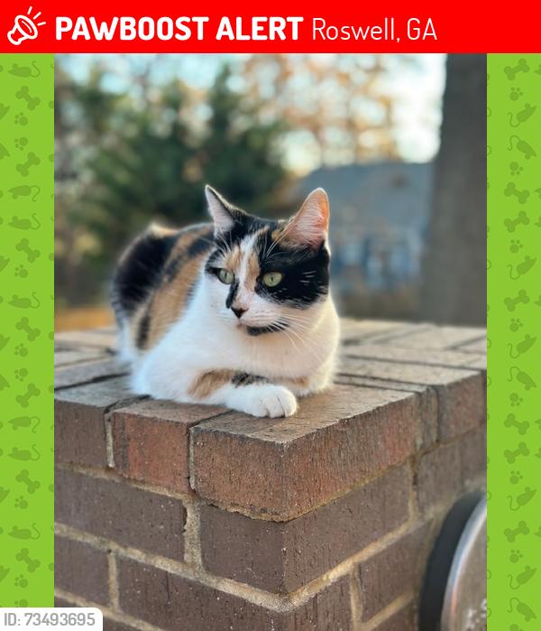 Lost Female Cat last seen Near Eden Green Ct, Roswell, GA 30075