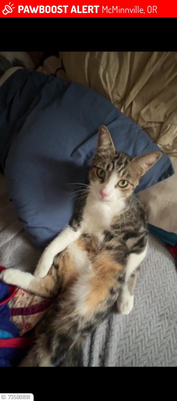 Lost Male Cat last seen mcminnville, McMinnville, OR 97128