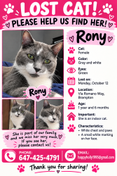 Lost Female Cat last seen Near Via romano way, Brampton, ON L6P 1P3