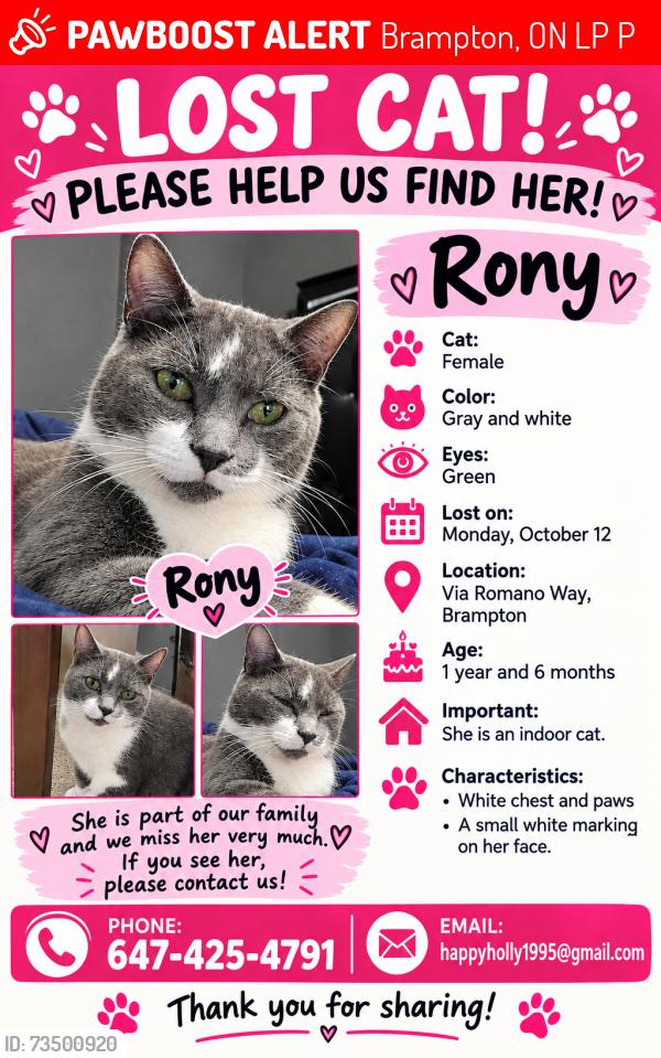 Lost Female Cat last seen Near Via romano way, Brampton, ON L6P 1P3
