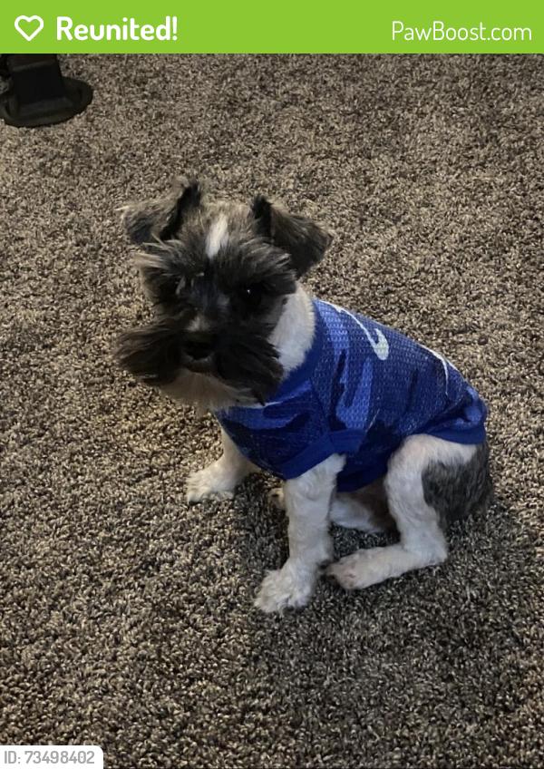 Reunited Male Dog last seen Covington Place Subdivision across from the Pool clbh, Covington, GA 30014