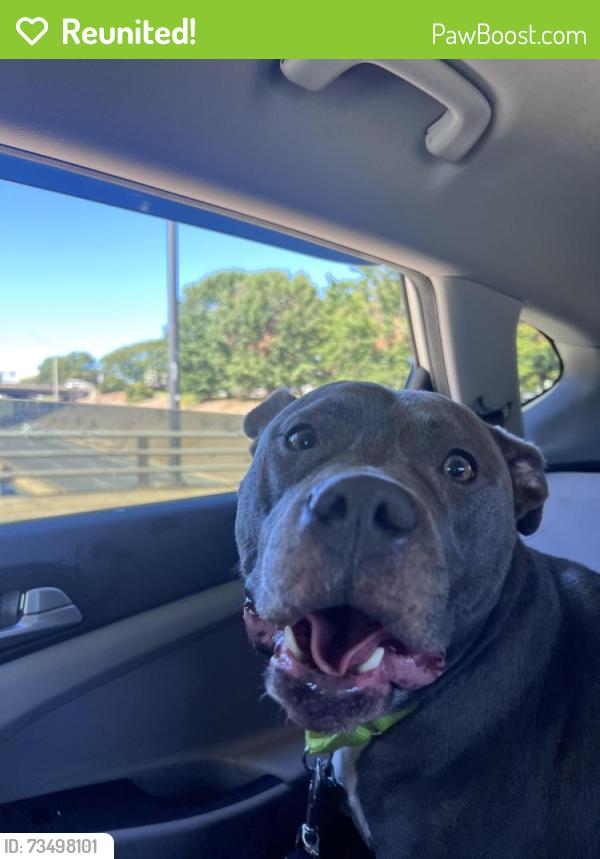 Reunited Female Dog last seen Attaberry Dr. And Brook Rd., Charlotte, NC 28205