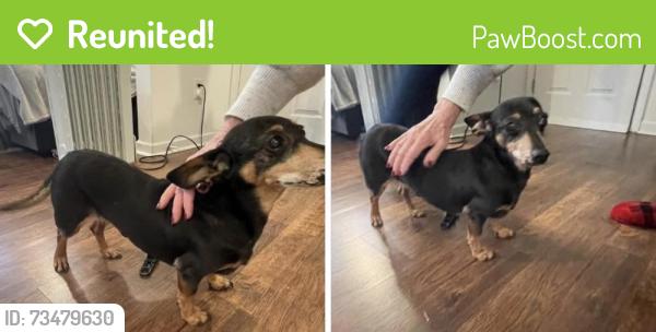 Reunited Male Dog last seen clbh, East Cobb, GA 30062