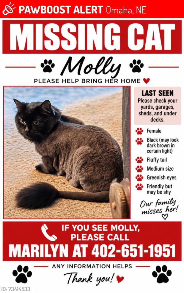 Lost Female Cat last seen 192nd & Q St, Elkhorn NE, Omaha, NE 68154
