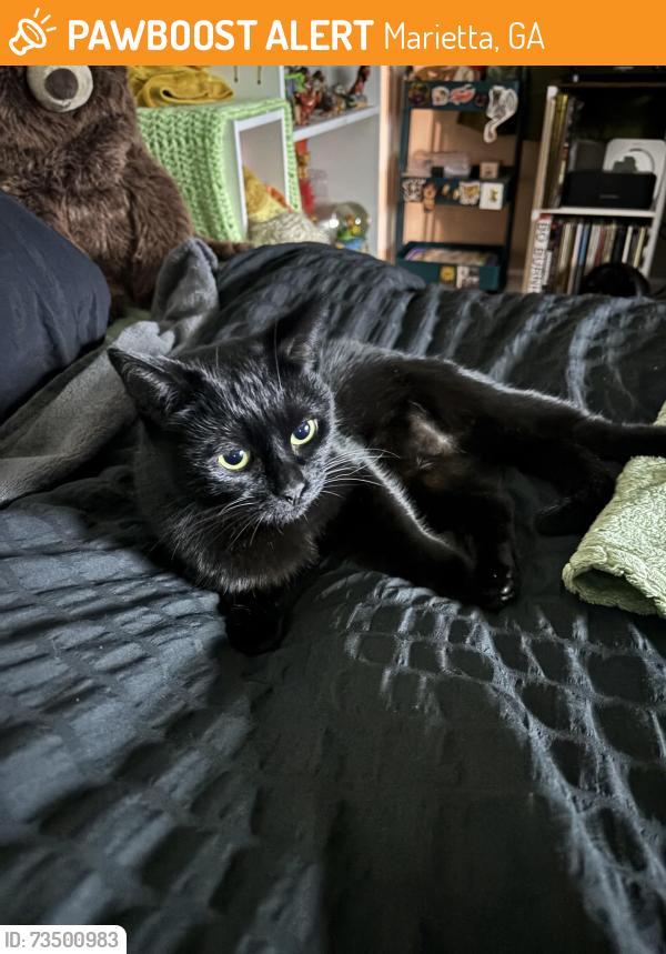 Found/Stray Female Cat last seen Waffle hse on Powder Springs, Marietta, GA 30008