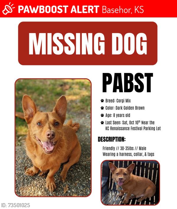 Lost Male Dog last seen Parallel Rd near Police Dept, Basehor, KS 66007