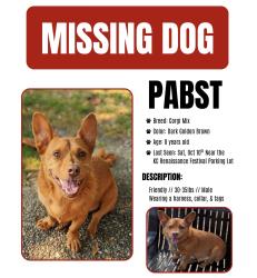Lost Male Dog last seen Parallel Rd near Police Dept, Basehor, KS 66007