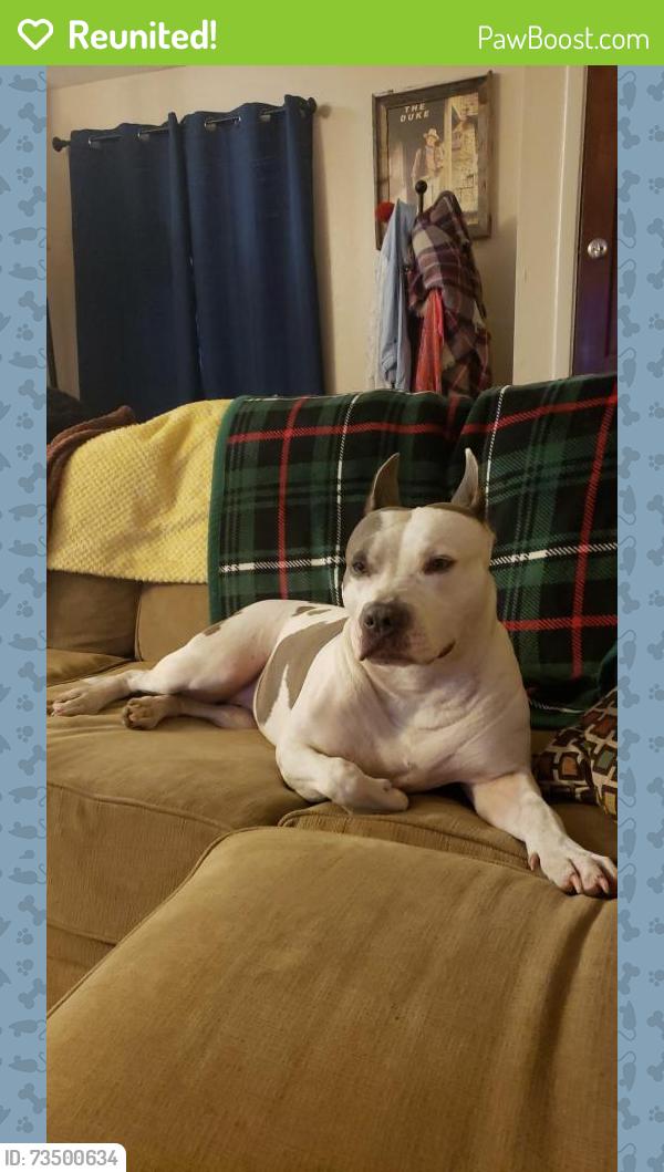 Reunited Female Dog last seen ., Santa Fe, TX 77510