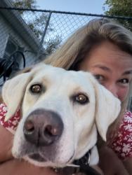 Reunited Female Dog last seen Pawnee & Webb, Wichita, KS 67207