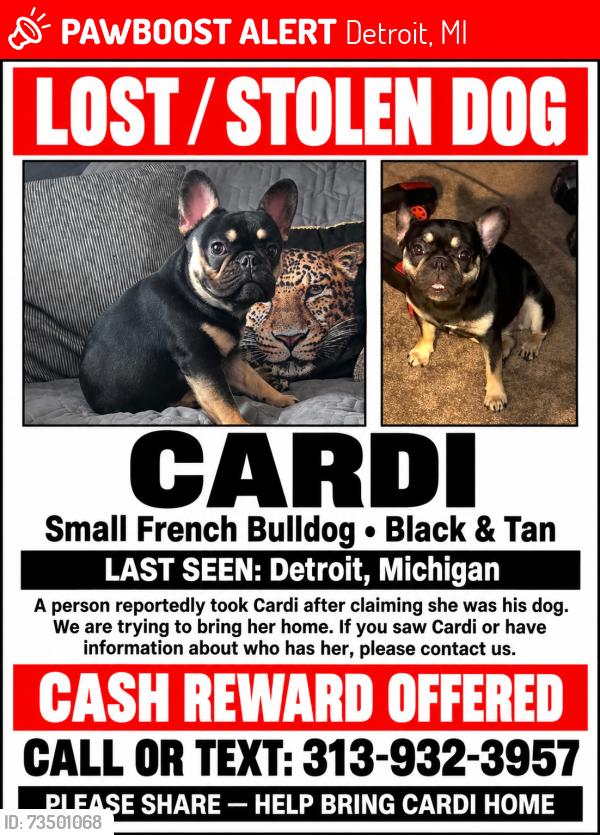 Lost Female Dog last seen Pinewood, Detroit, MI 48213