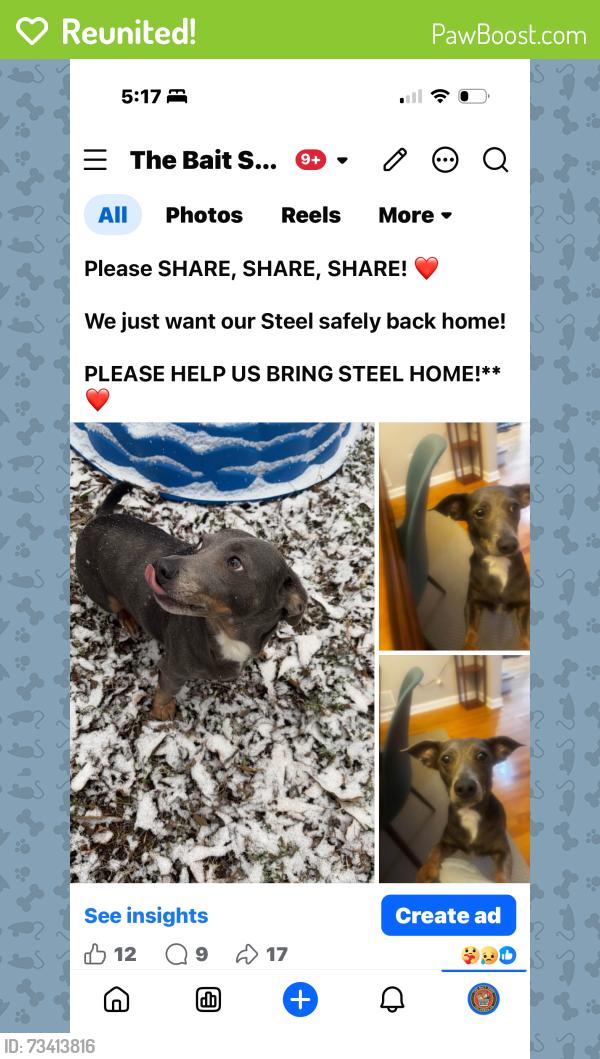 Reunited Male Dog last seen The Bait Shop, Columbus, GA 31904