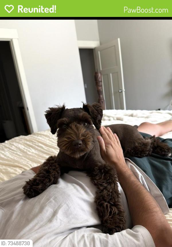 Reunited Male Dog last seen JC Park, American Fork, UT 84003