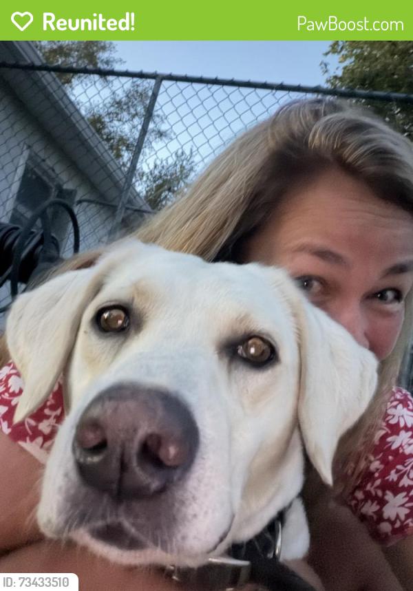 Reunited Female Dog last seen Pawnee & Webb, Wichita, KS 67207