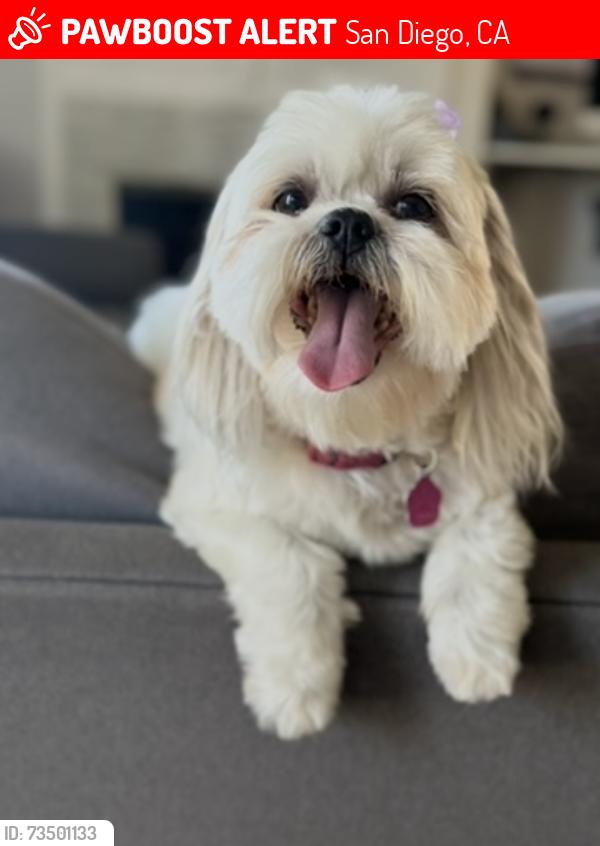 Lost Female Dog last seen Seaglen way and Palm Ave, San Diego, CA 92154